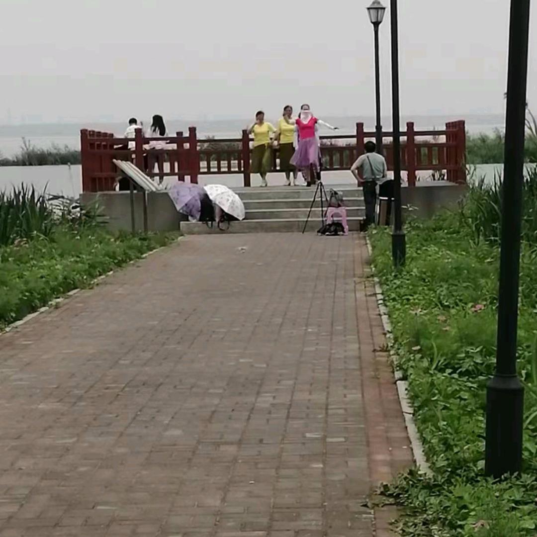四季发财