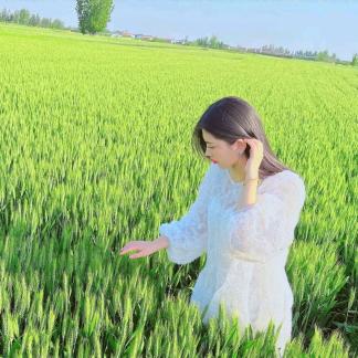 爱种植的甜甜