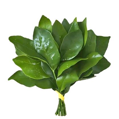 L丶