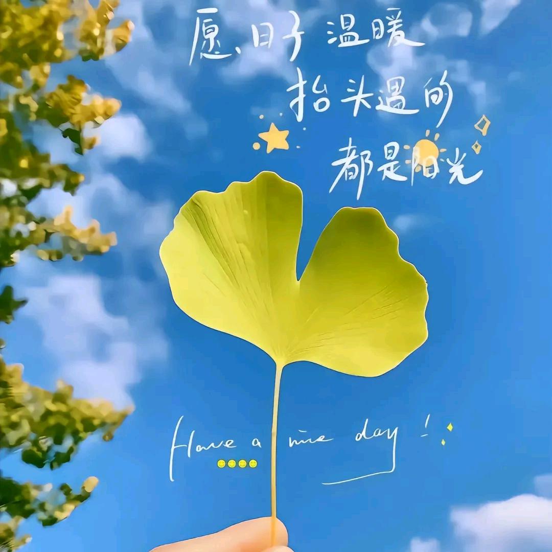 小小