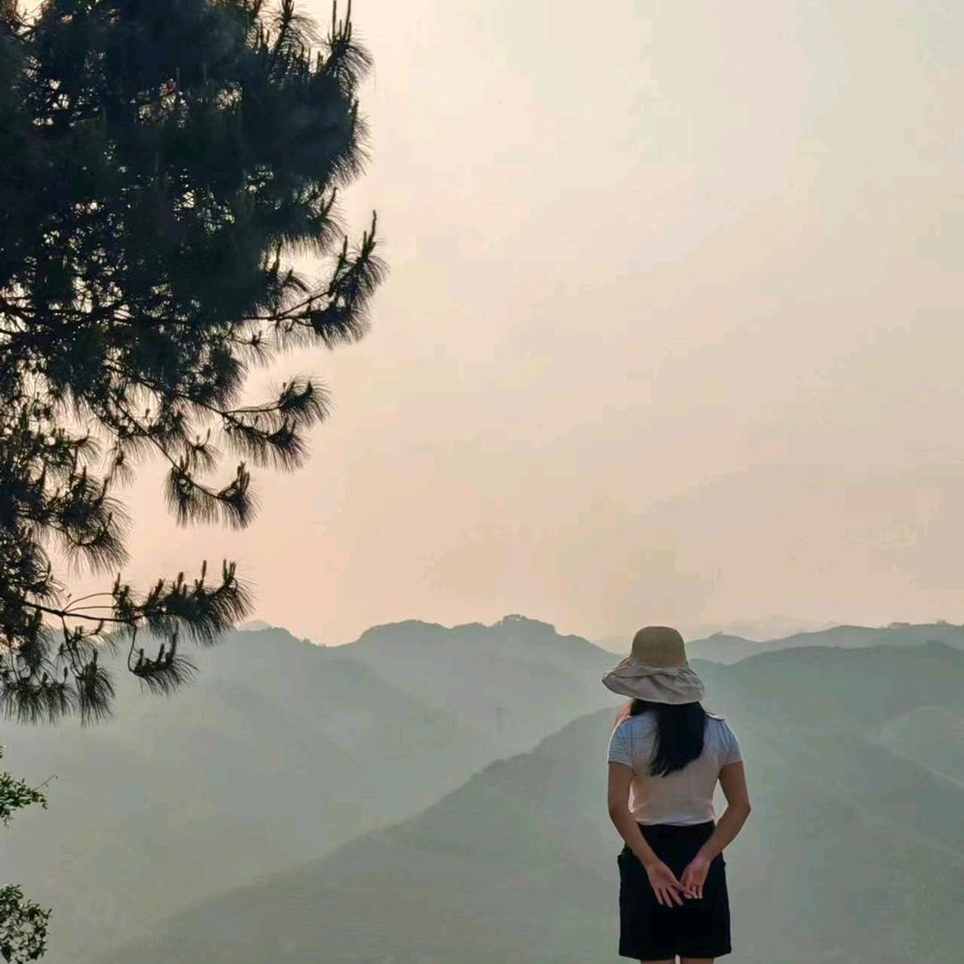 影宝