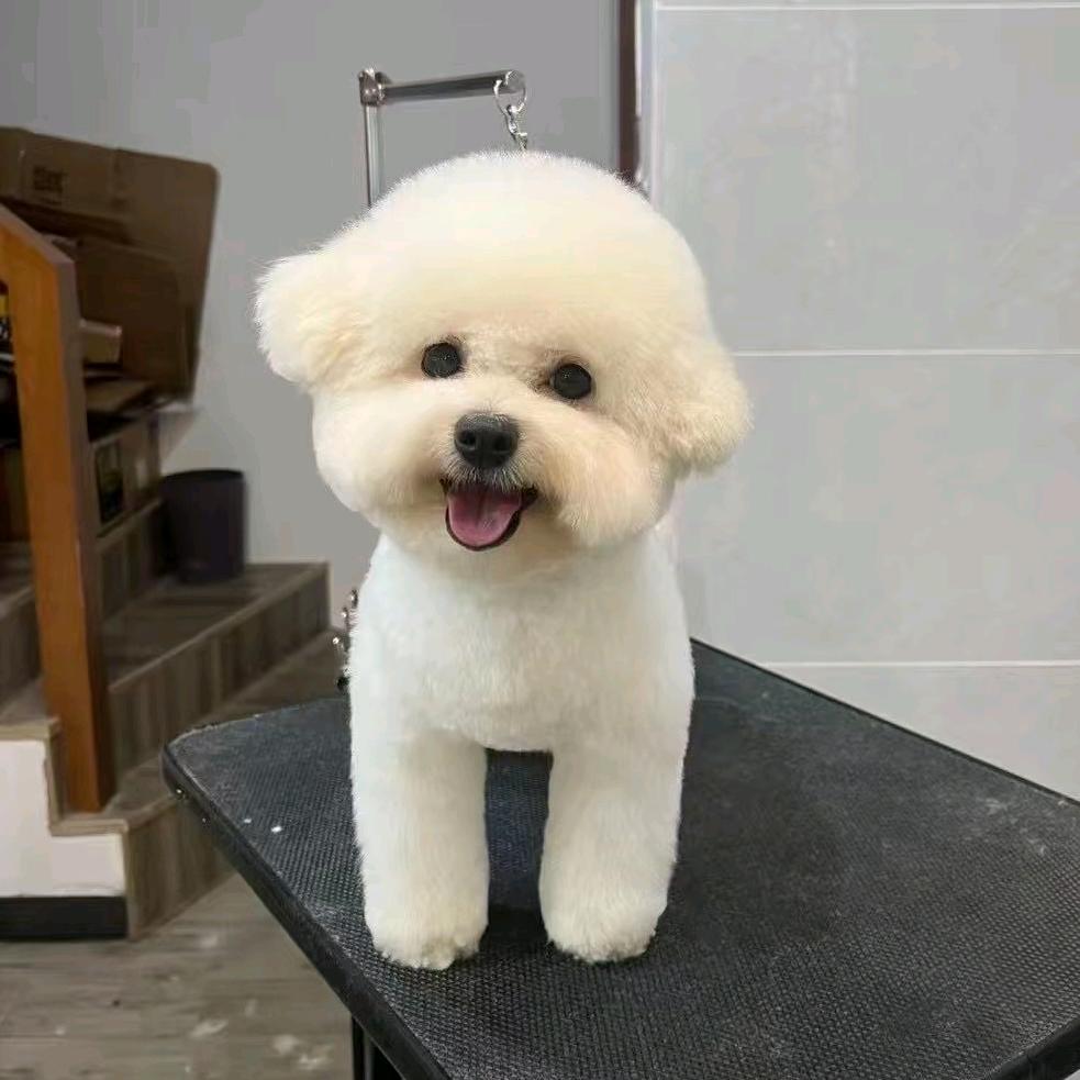 六品院子商务