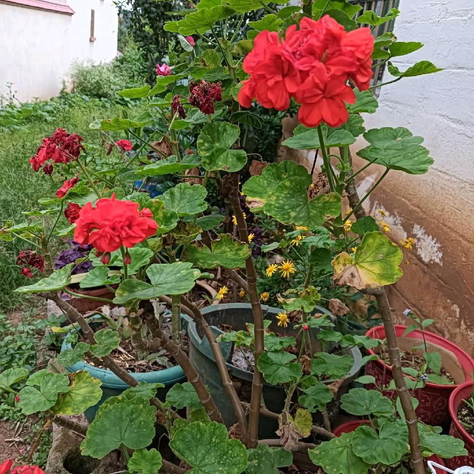 代号无名