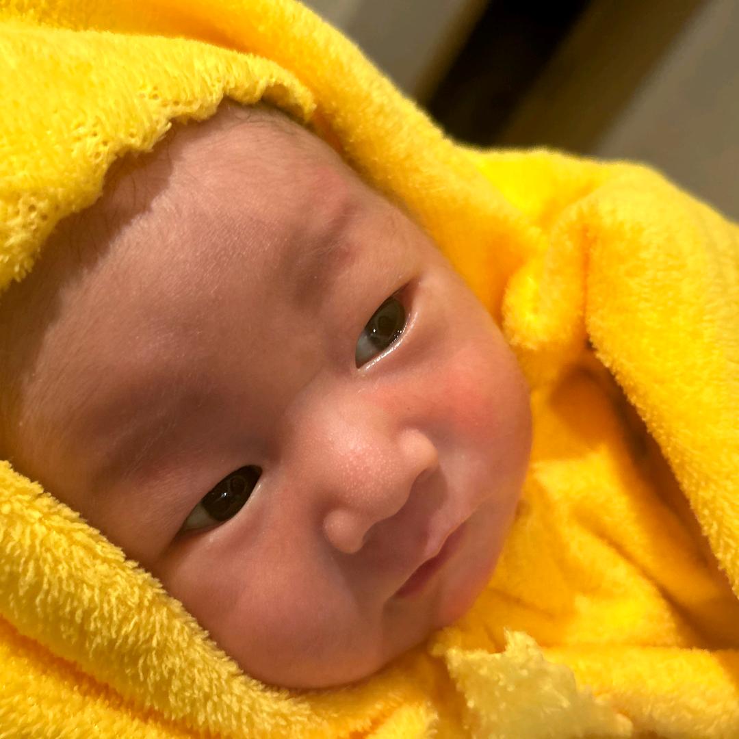 永不言败