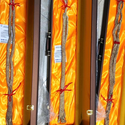 浑源正北芪永林门店