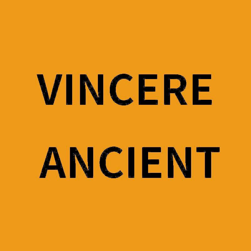 VINCEREANCIENT美妆旗舰店