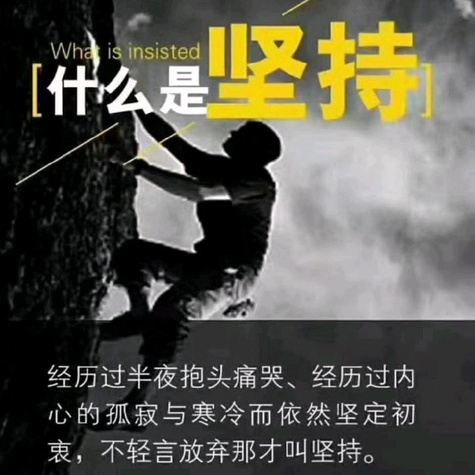 随风走