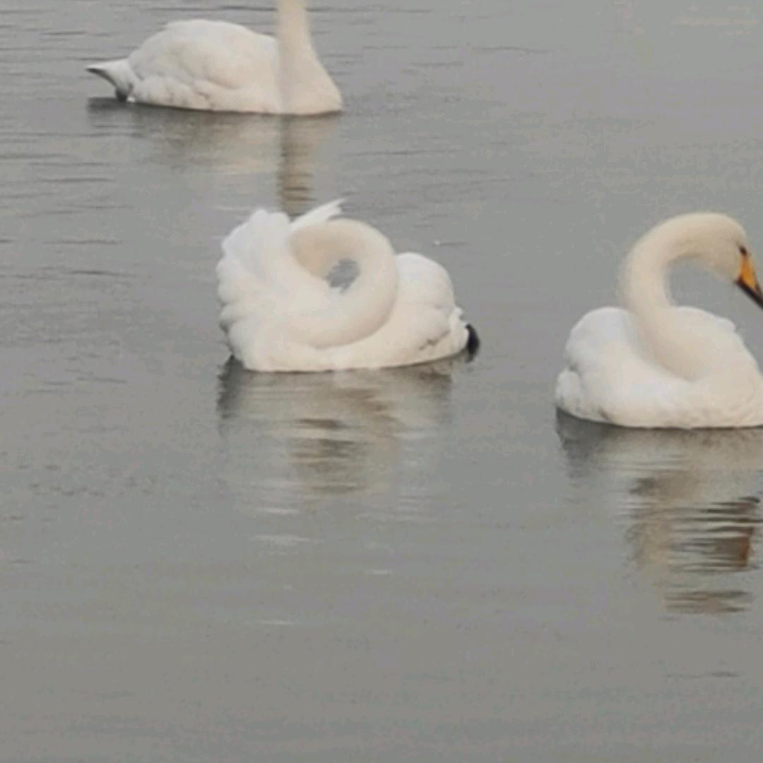 西安天亚裕商贸有限公司5