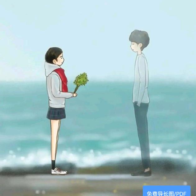 风筝🪁