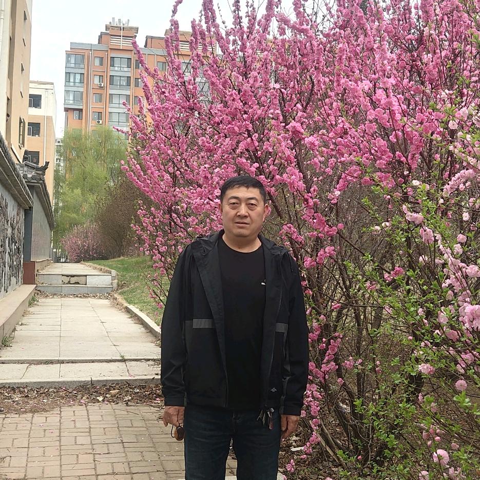 旭日东升。