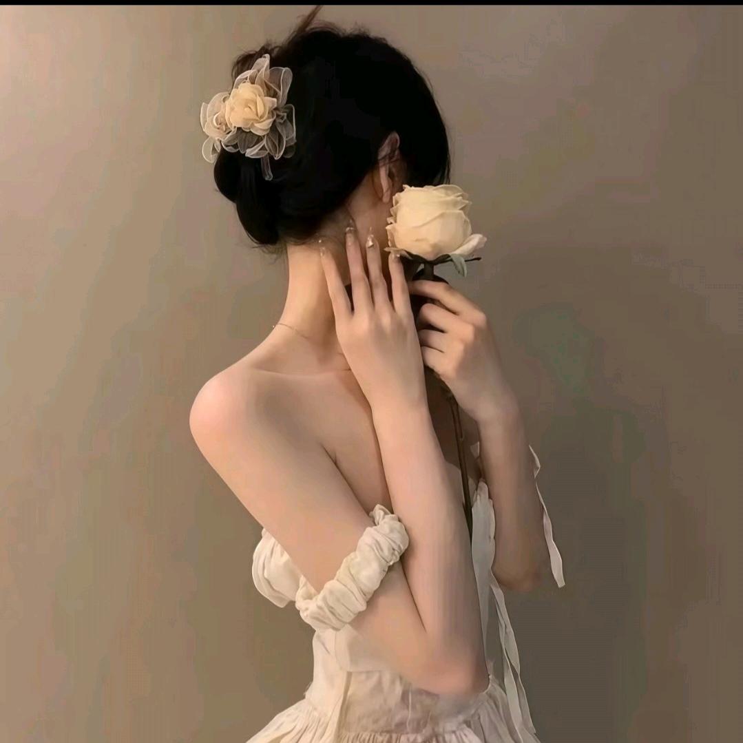 🐬.梵星