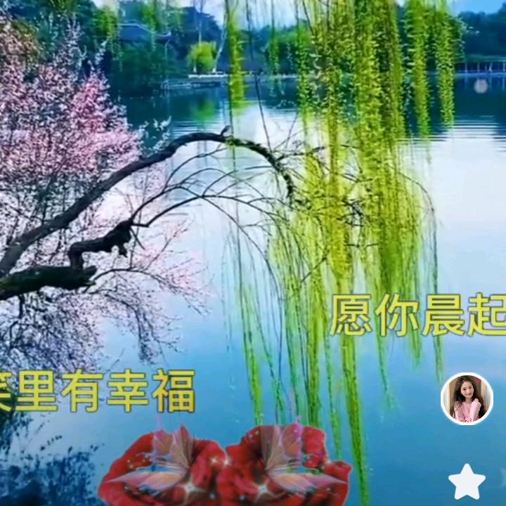 用户744741846972