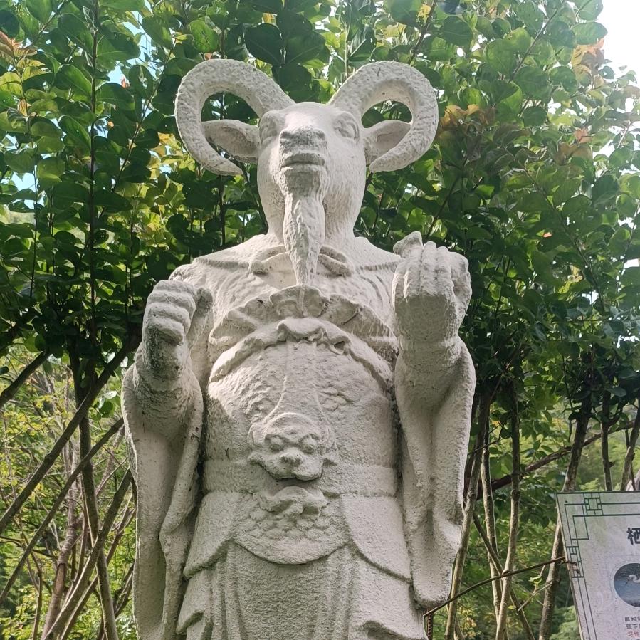 怘朲