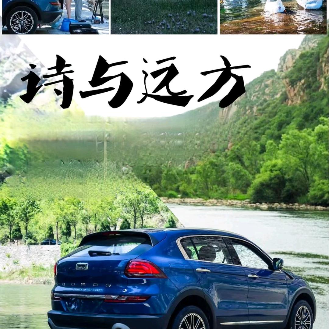 烬中生花