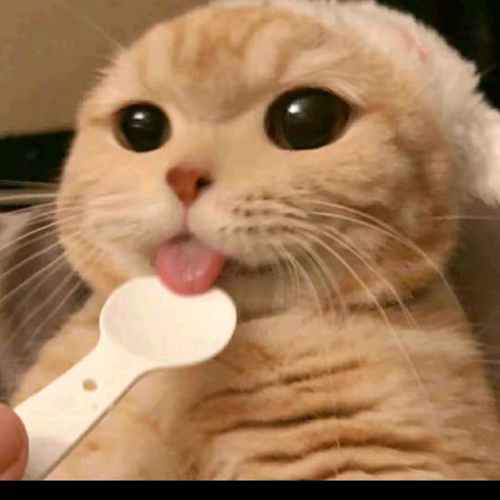 周家毅