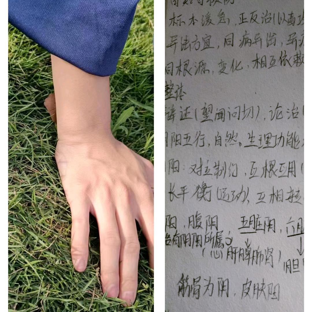 重生之成为奇经八脉的团宠