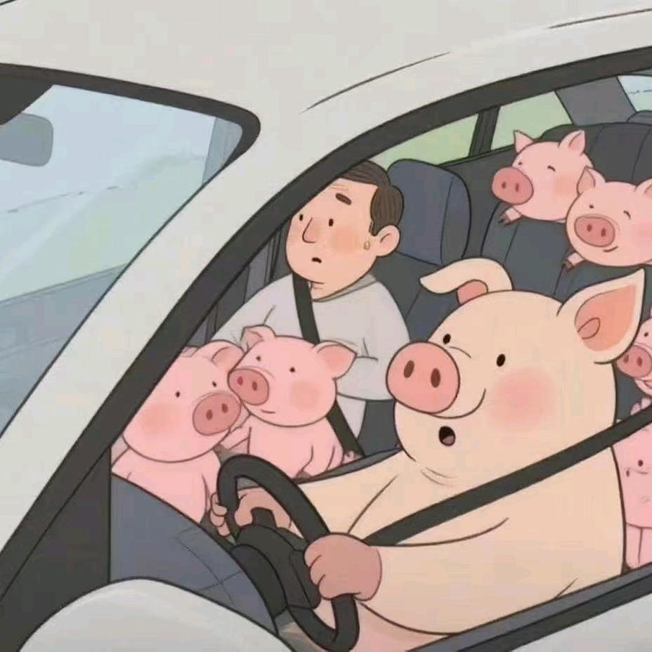学车找小蔡
