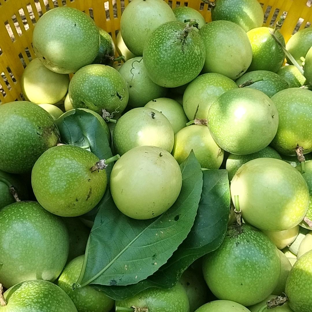 随心录红尘