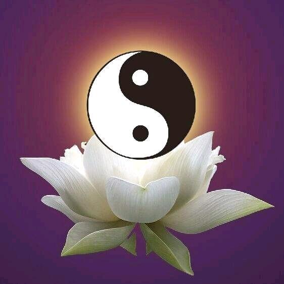 善缘堂