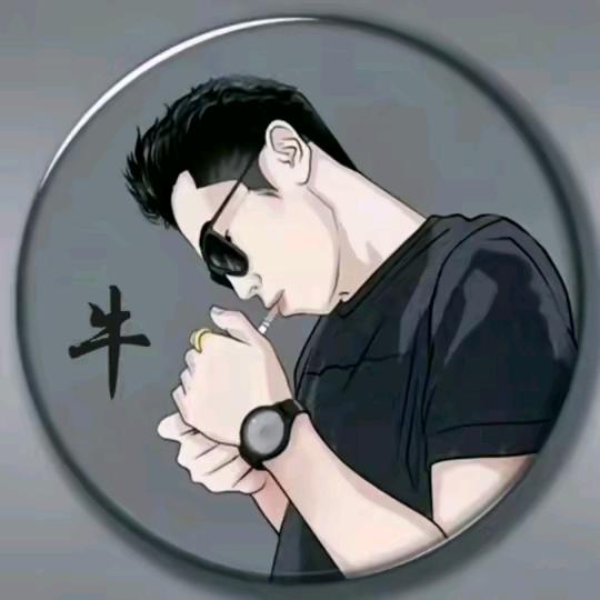 云南圈圈哥套大鹅
