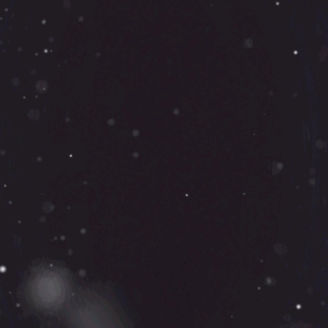 🌹明明很爱你🌹