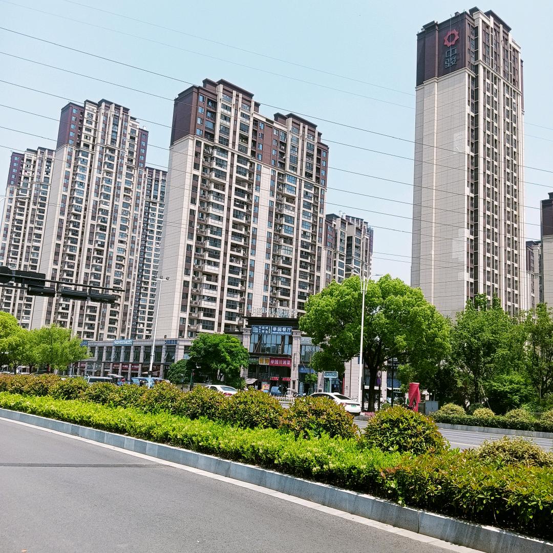 龙游天下