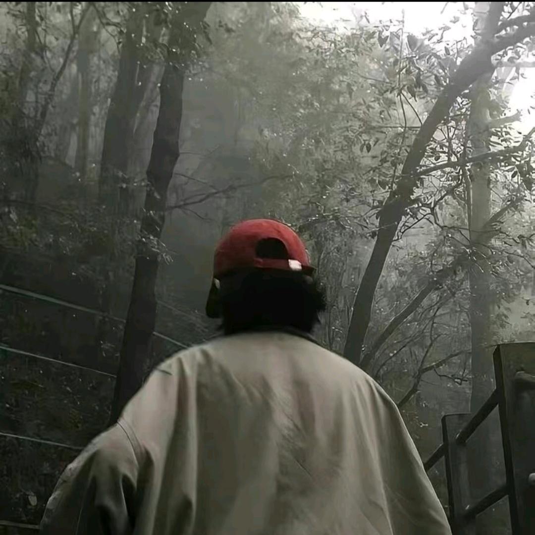 涵涵