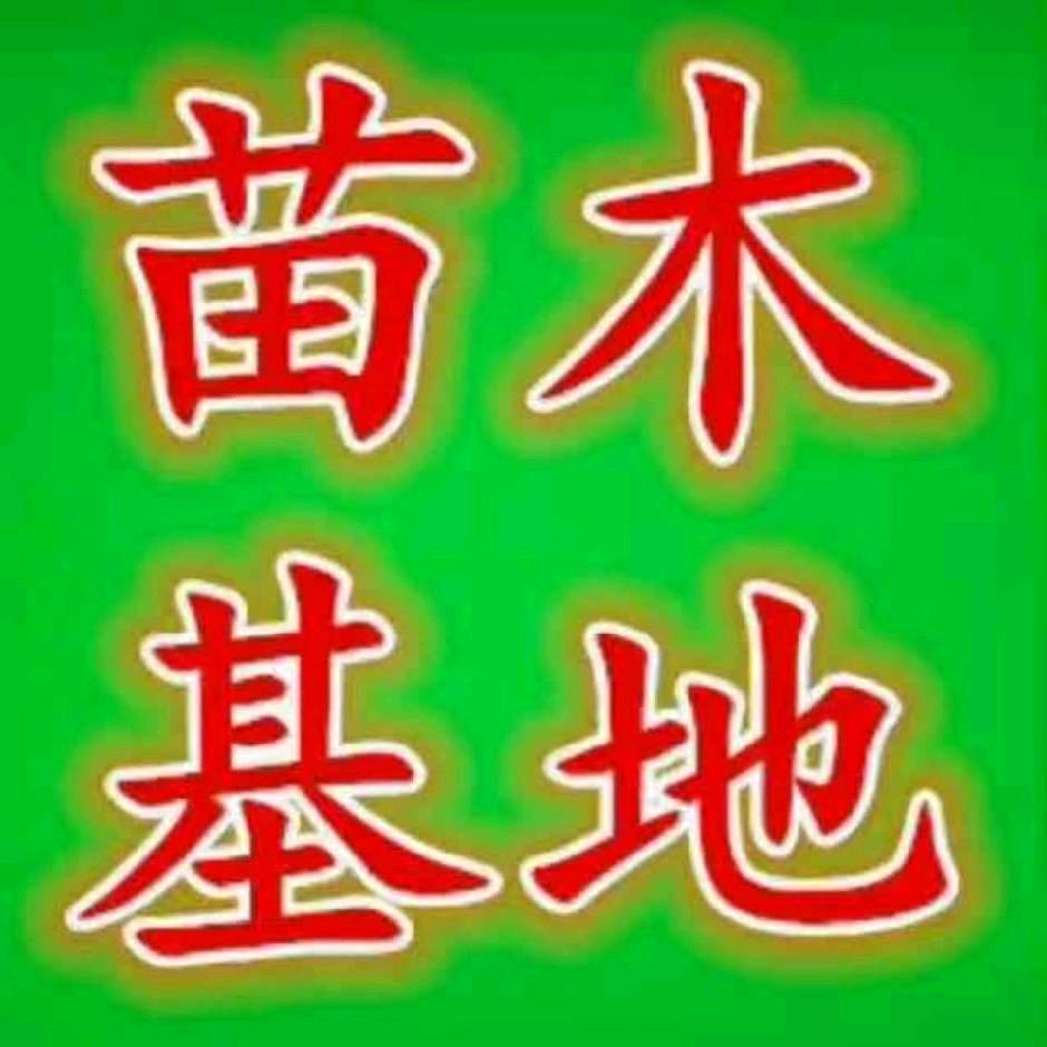 大连长福苗木合作社