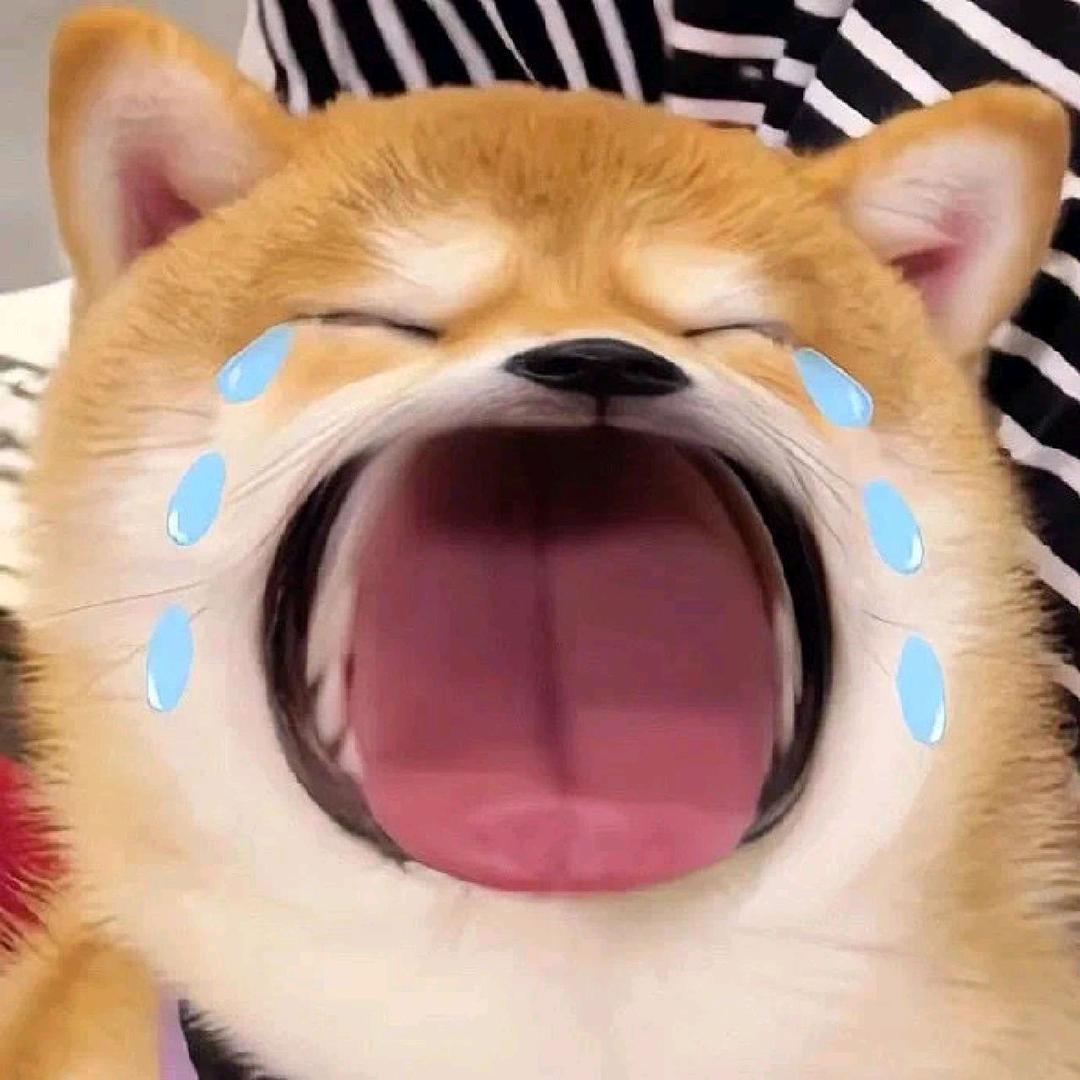 噗呲呲哒