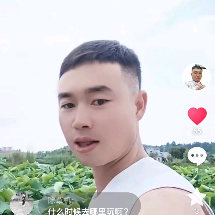 秦政权@