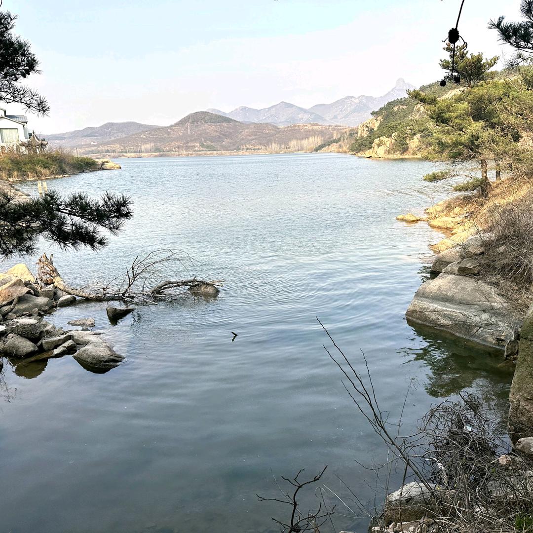 朝暮年华