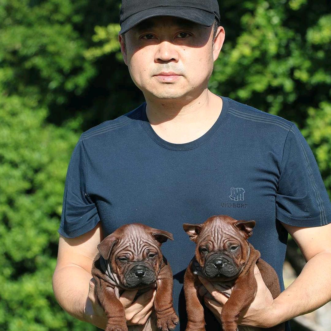 鑫铁血
