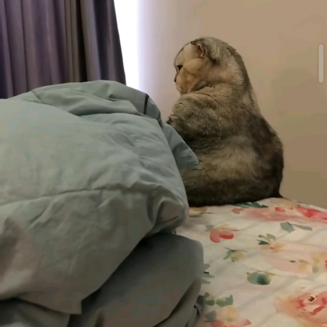 一切都完美的错过