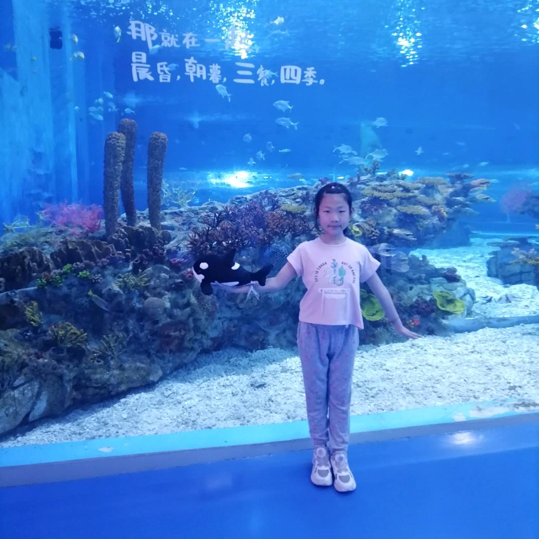 静精