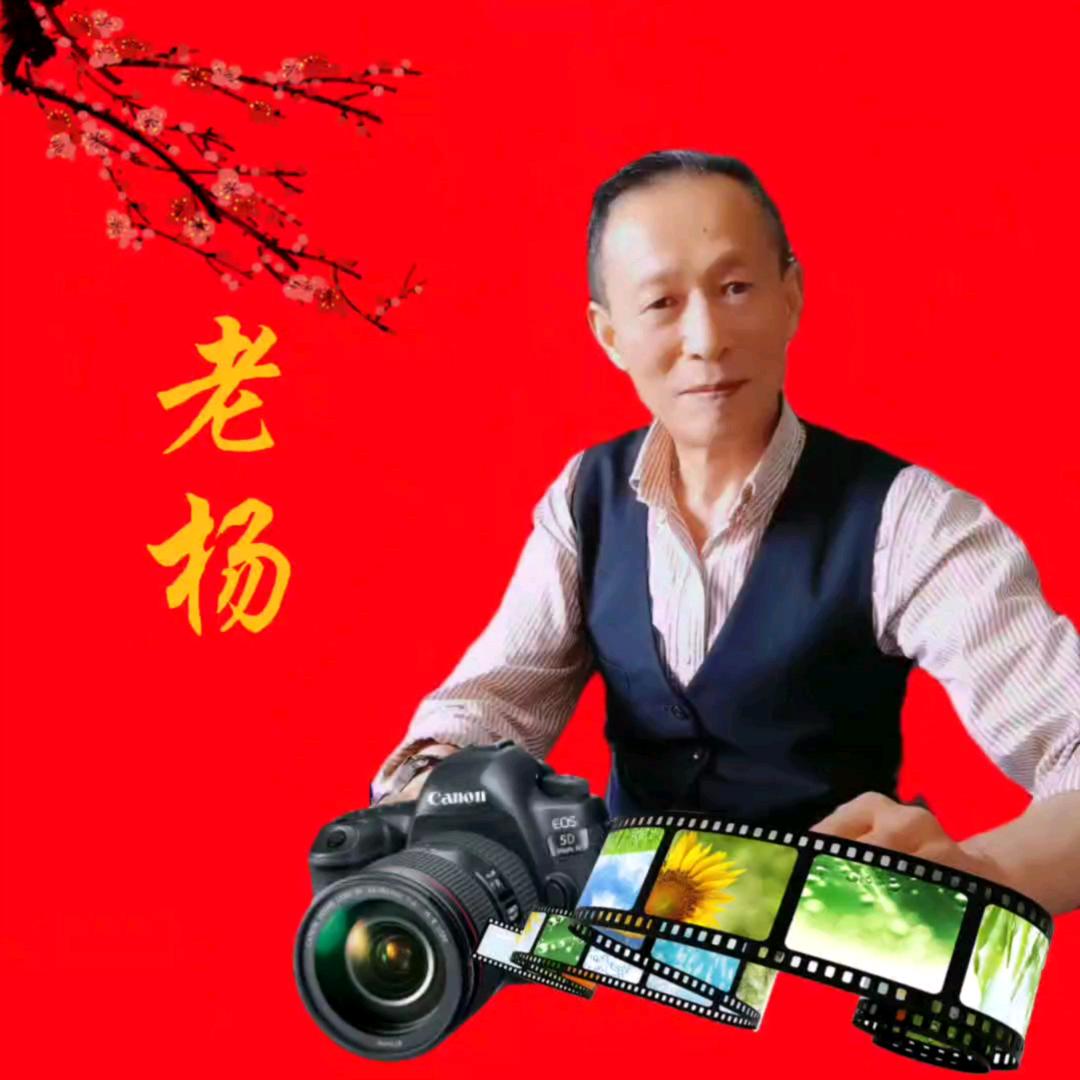 老杨混剪