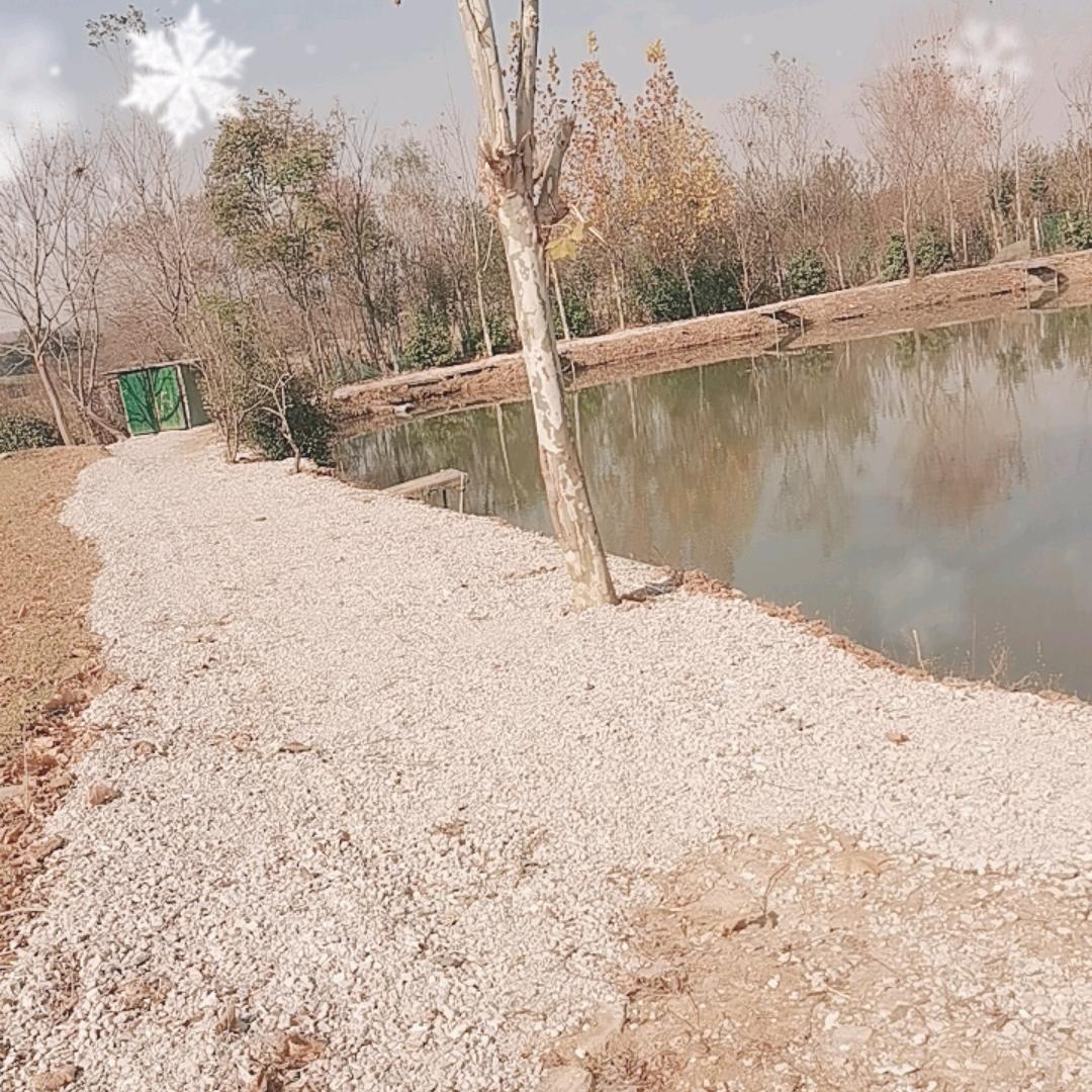 蜀山南岗桂岗兄弟钓场