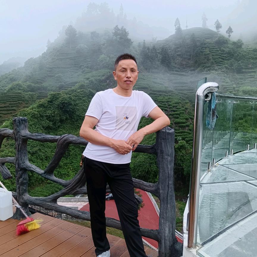 六号茶创始人