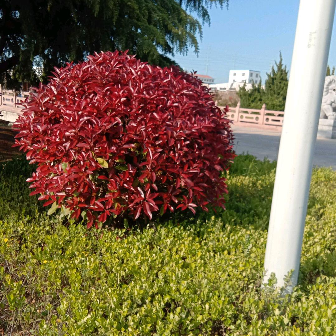 一生无聊悔