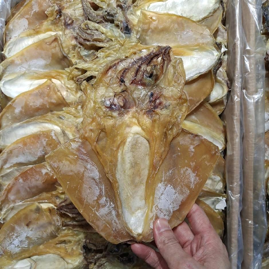 海昌汇