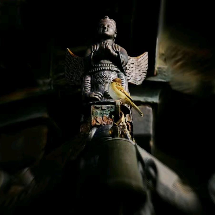 快乐之道