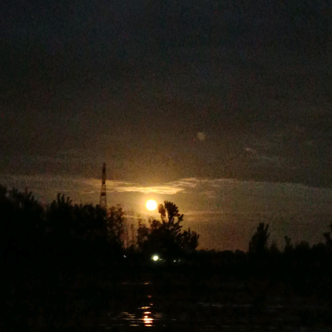 过客(卖菜大姐)！