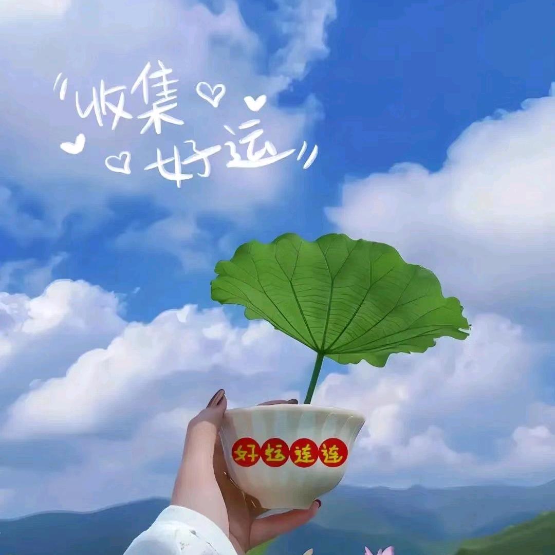 玖月