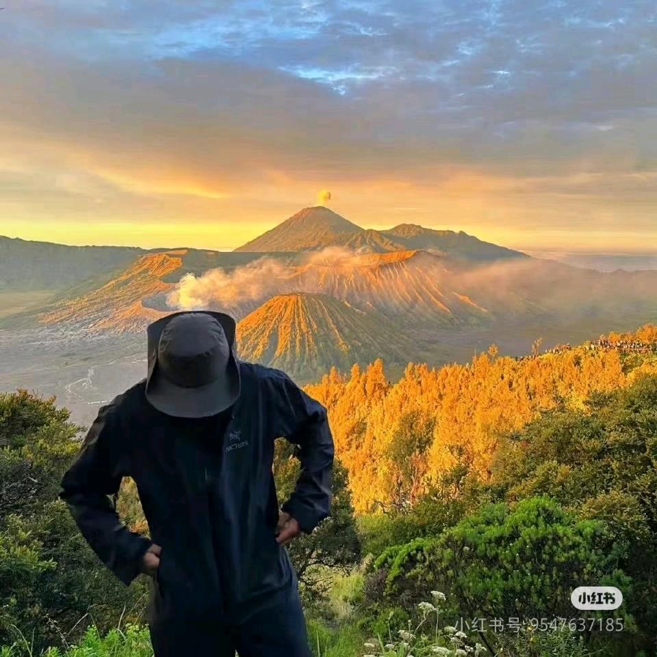 私家侦探