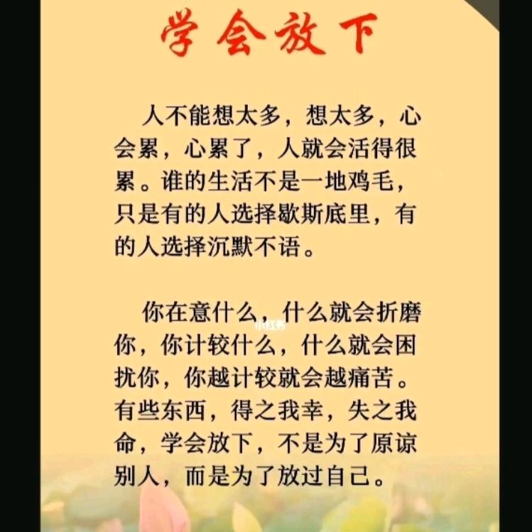 🌺岁月静好🌺