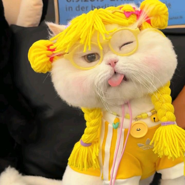 杨肉串头像