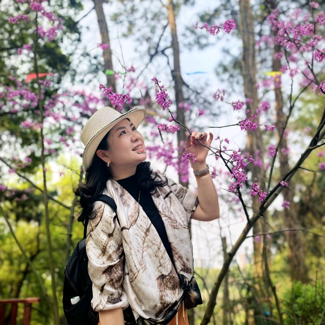 ✨爱生活的佳佳🌸
