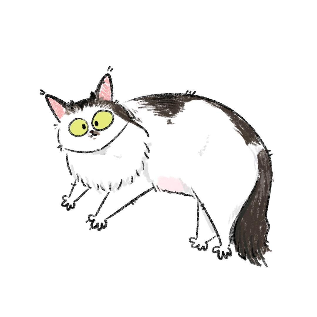 不知名的小号君