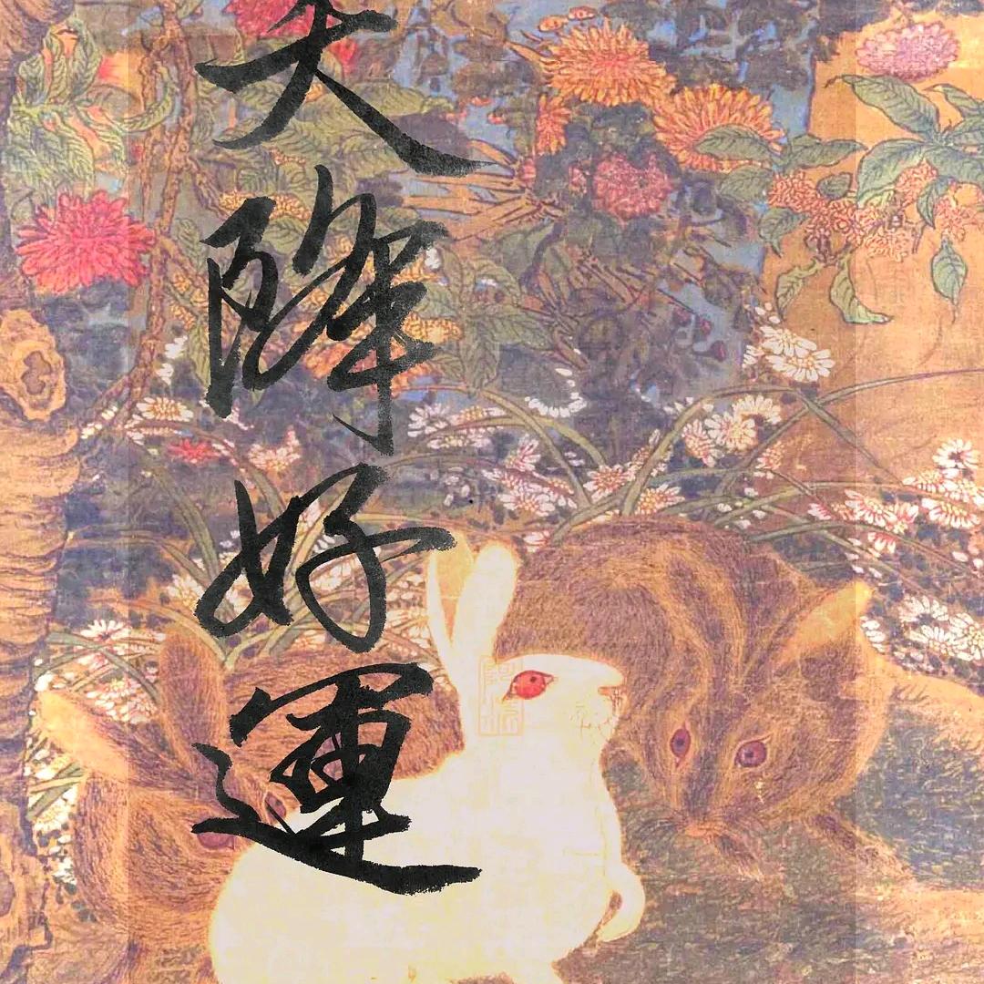 得了精神病之后感觉精神好多了😇