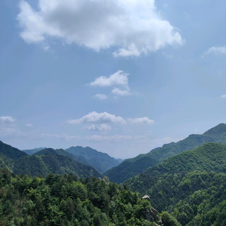 爱朵儿