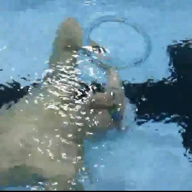 Swim